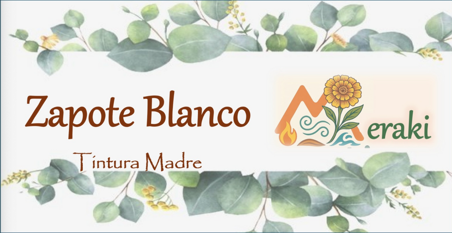 Tintura de Zapote Blanco