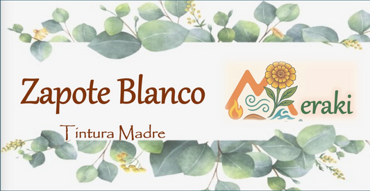 Tintura de Zapote Blanco