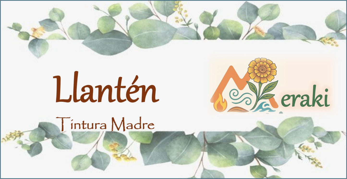Tintura de LLantén