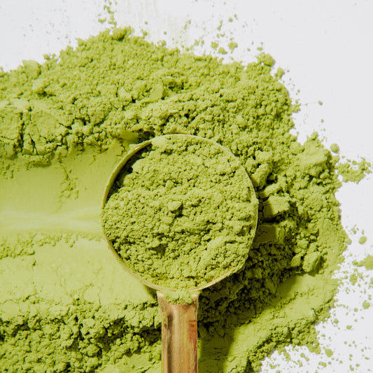 Matcha