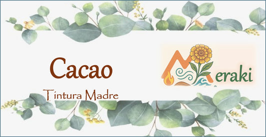 Tintura de Cacao