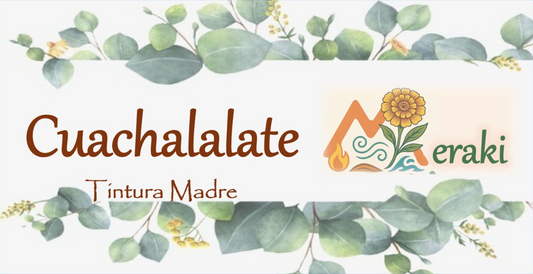 Tintura de Cuachalalate