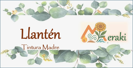 Tintura de LLantén