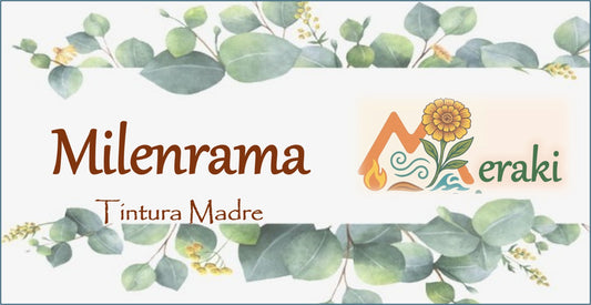 Tintura de Milenrama
