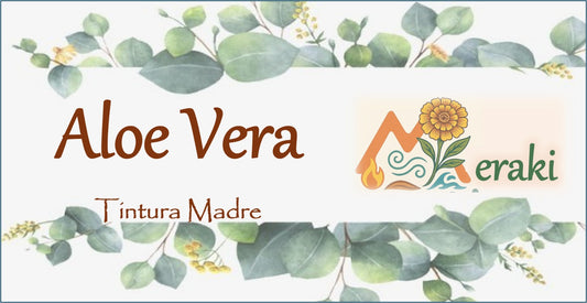 Tintura de Aloe Vera