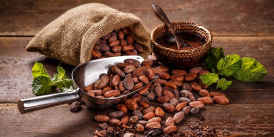 Cacao Tintura Madre