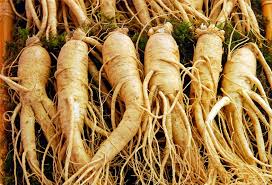 Tintura de Ginseng